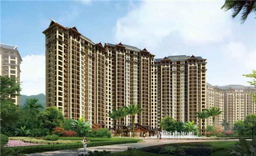 香多滋鲍汁焖鸡