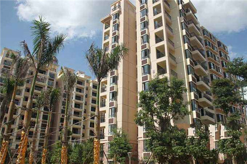 鲨鱼杰克小海鲜焖面