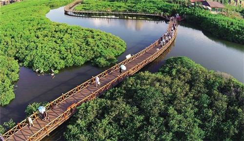 摩洛克汽车美容