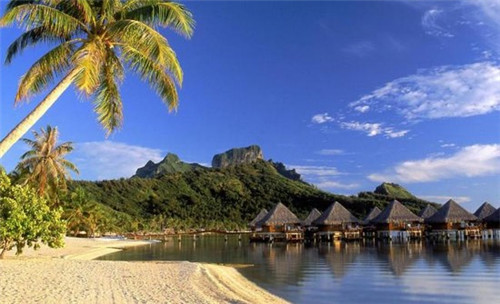 玻璃鱼的家常做法，玻璃鲸加盟费多少