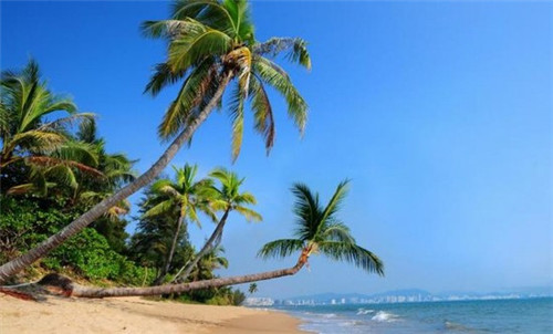 丁杨社区哪个饭店好吃（丁杨社区哪个饭店好吃又实惠）