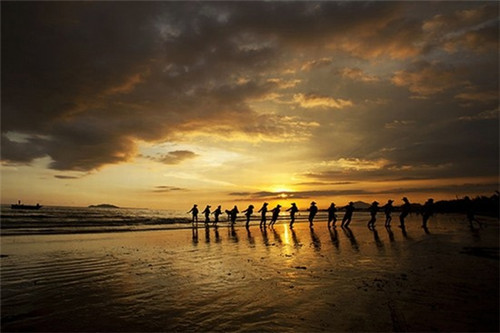 板栗炒大闸蟹怎么炒好吃（糖炒栗子和大闸蟹能一起吃吗）