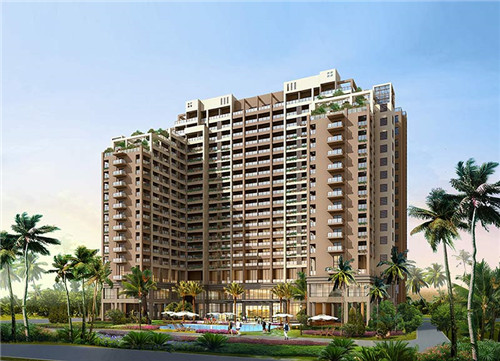 五谷粉什么项目比较好